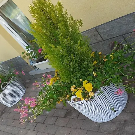 Le Viottole Apartment